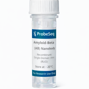 Amyloid-Beta (Aβ) Nanobody — Recombinant Single-Domain VHH Binder (RUO)