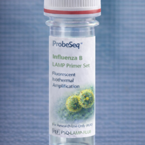 Influenza B LAMP Primer Set – Fluorescent Isothermal Amplification (RUO)