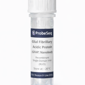 Glial Fibrillary Acidic Protein (GFAP) Nanobody — Recombinant Single-Domain VHH Binder (RUO)