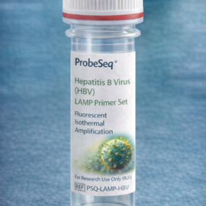 Hepatitis B Virus (HBV) LAMP Primer Set – Fluorescent Isothermal Amplification (RUO)