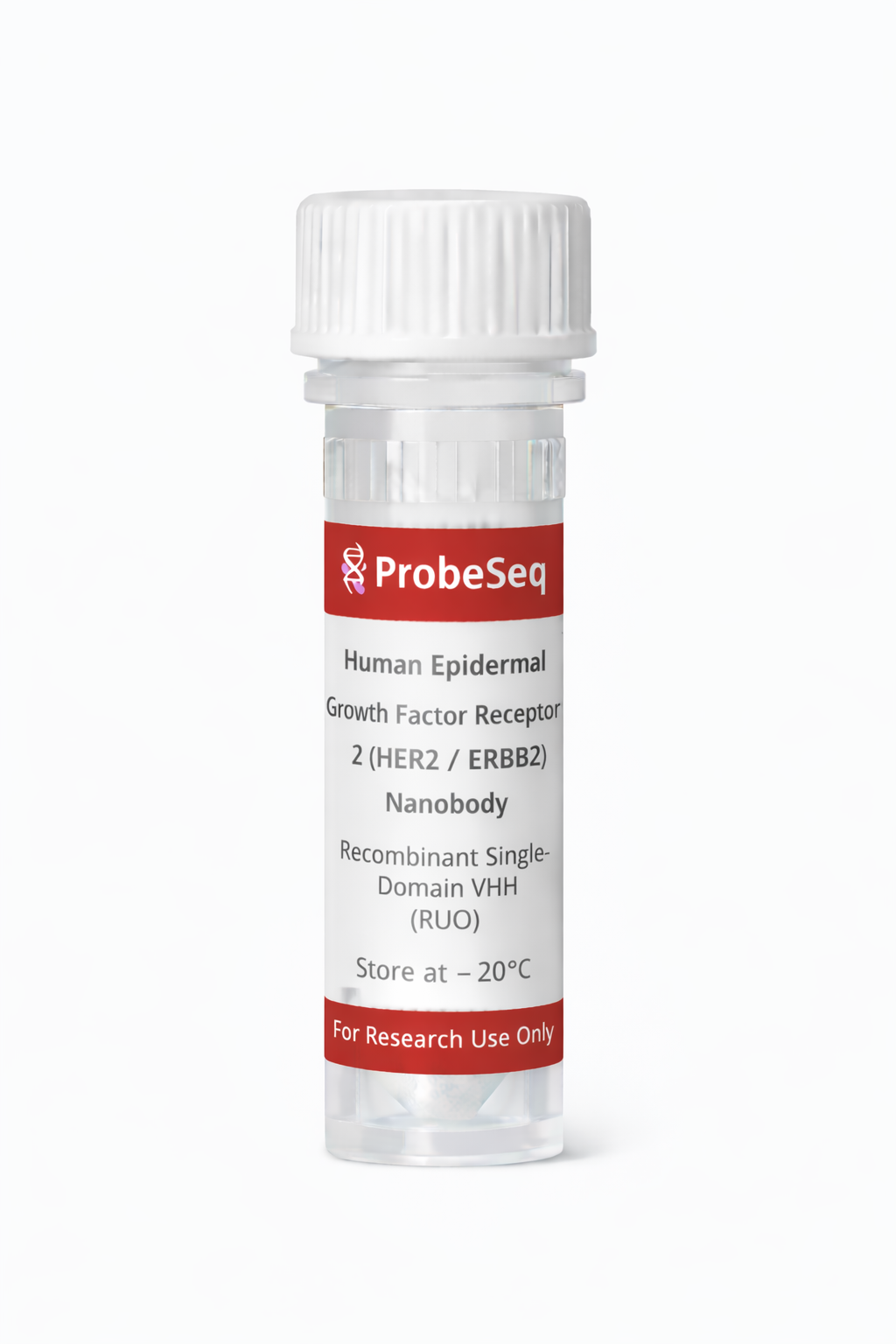 Human Epidermal Growth Factor Receptor 2 (HER2 / ERBB2) Nanobody — Recombinant Single-Domain VHH Binder (RUO)