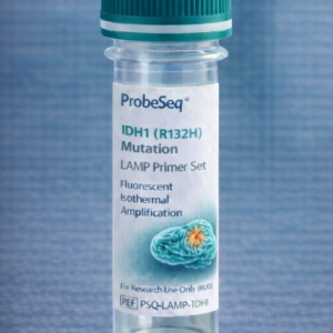 IDH1 (R132H) Mutation LAMP Primer Set – Fluorescent Isothermal Amplification (RUO)
