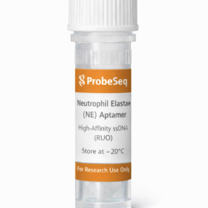 Neutrophil Elastase (NE) Aptamer — High-Affinity ssDNA Recognition Element (RUO)