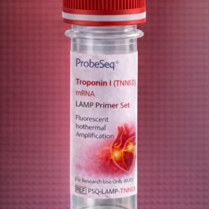 Troponin I (TNNI3) mRNA LAMP Primer Set – Fluorescent Isothermal Amplification (RUO)