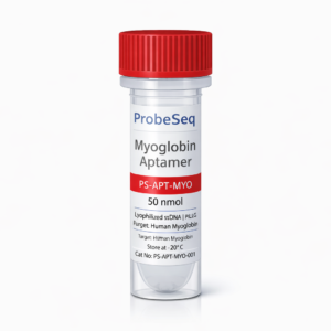 Myoglobin (Human) Aptamer — High-Affinity ssDNA | HPLC Purified